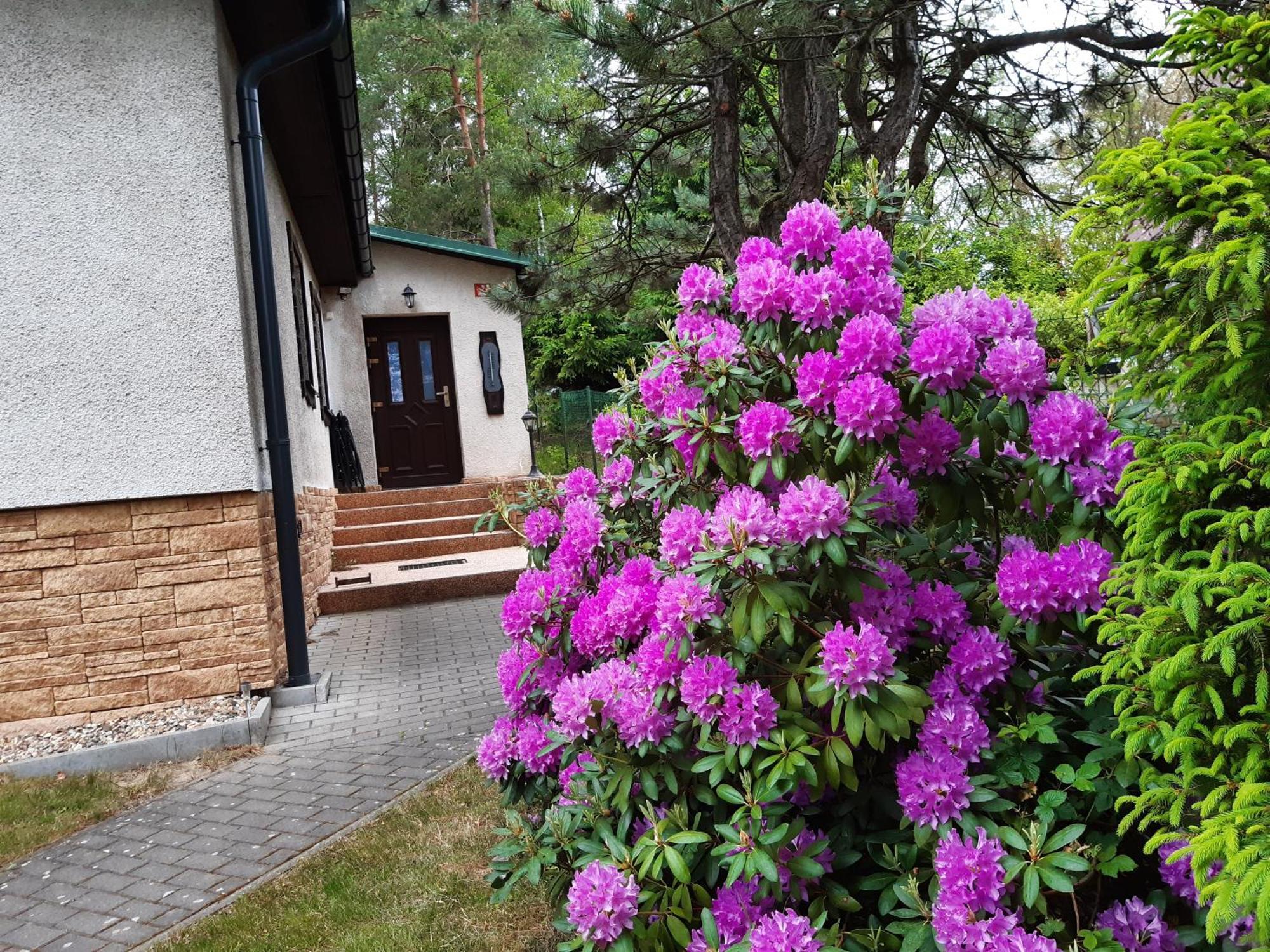 Chata Rynartice 7 Етршиховице Экстерьер фото